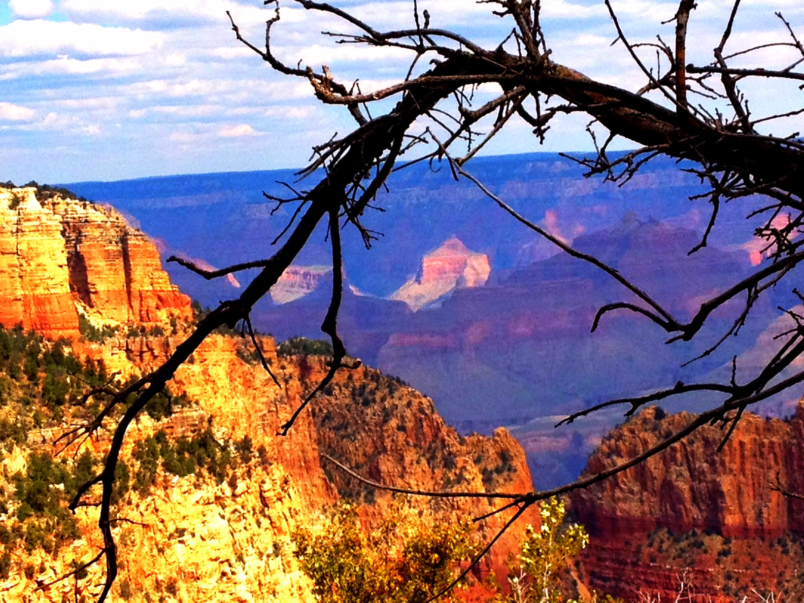 Photo of the Grand Canyon