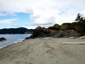 A photo of Whidbey Island beach