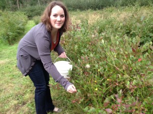 Photo of author picking blueberries